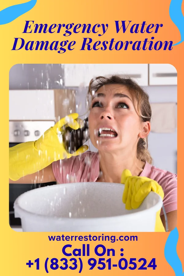 Emergency Water Damage Restoration in Reno, NV